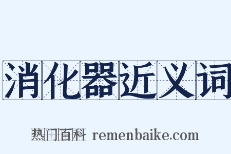消化器近义词是什么意思的图片